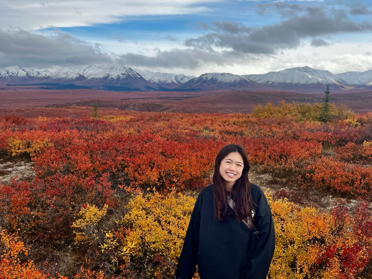 A Guide to Visiting Denali National Park in the Fall&nbsp;Season